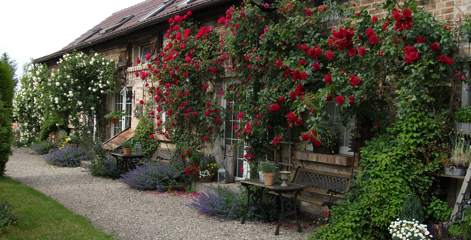 Oderbruch Ferienwohnung Lüneberg Neulewin Übernachtung Urlaub Pension